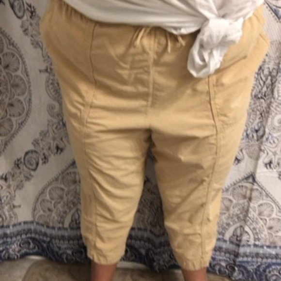 DressBarn Woman Capris, sz 3x - Picture 16 of 16